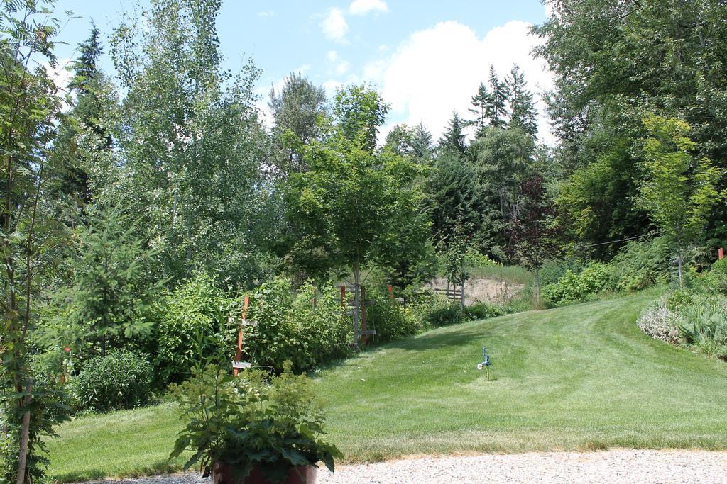 Windborne Bed & Breakfast Castlegar Extérieur photo